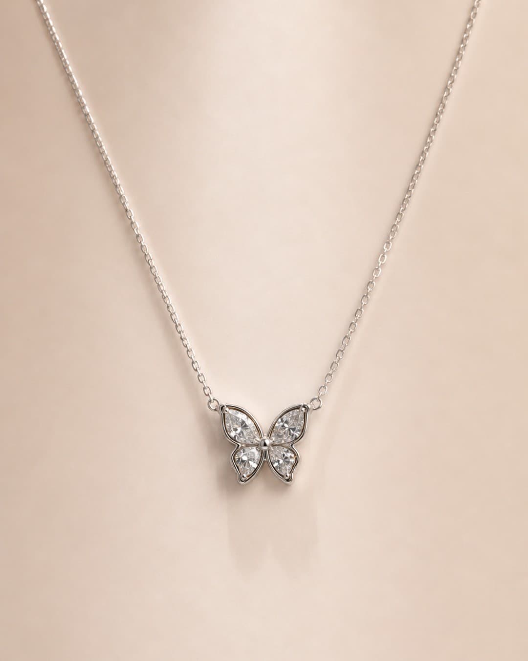 Papillon